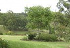 Gillumresidential-landscaping-40.jpg; ?>